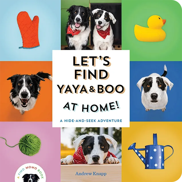 Let's Find Yaya & Boo At Home! book cover