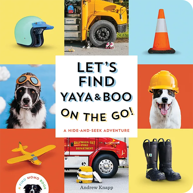 Let's Find Yaya & Boo On the Go! book cover