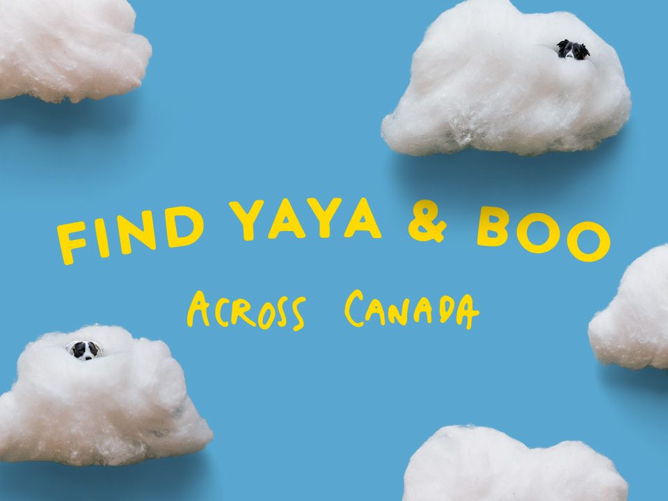 Find Yaya & Boo Across Canada